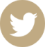 Twitter Circled Twitter