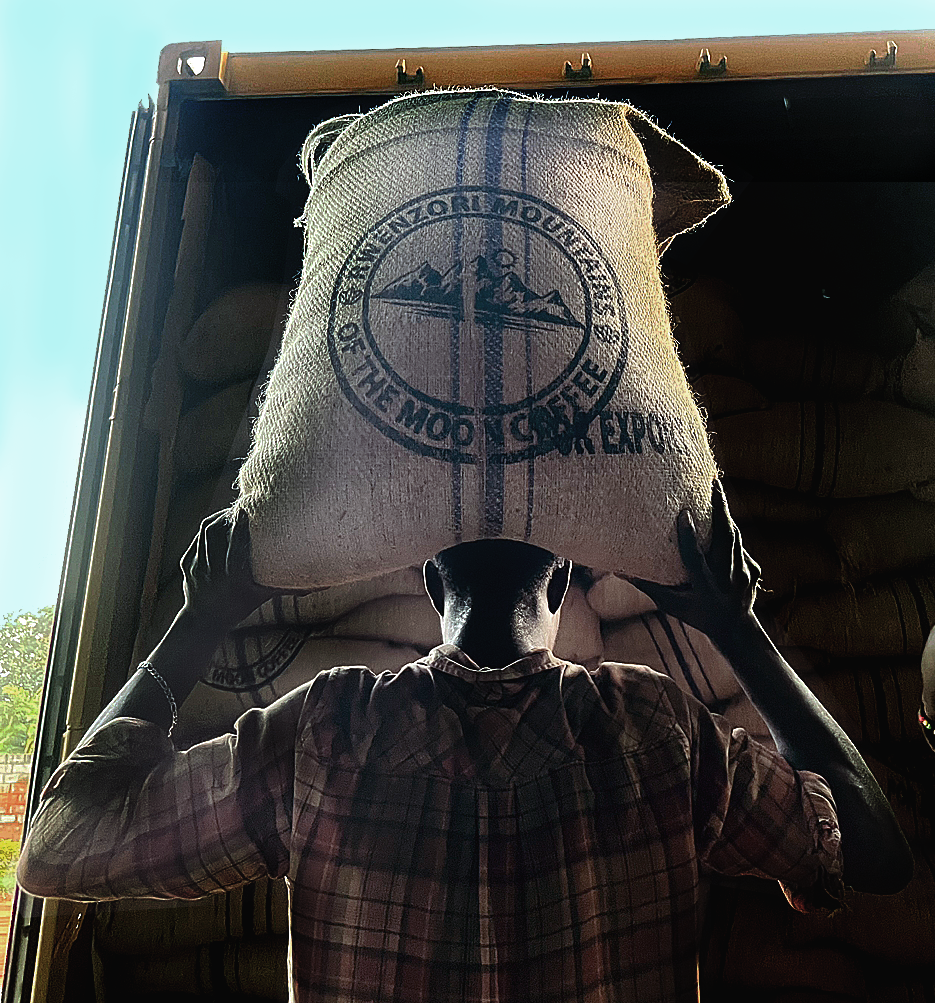 https://cafferiver.mom/shop/rwenzori-uganda/